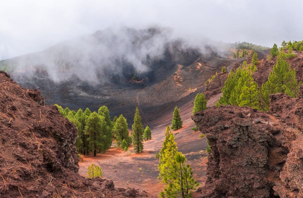 Vulkanische Landschaft mit kanarischen Kiefern und Nebelschwaden auf La Palma