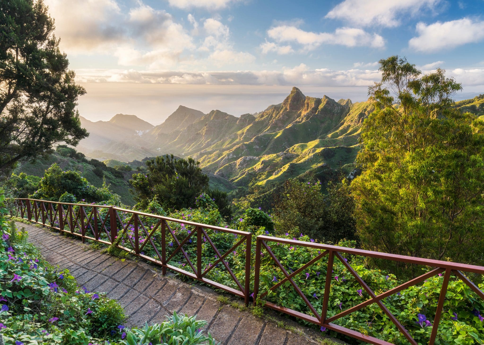 Grüne Lorbeerwälder und Berglandschaft im Anaga-Gebirge auf Teneriffa