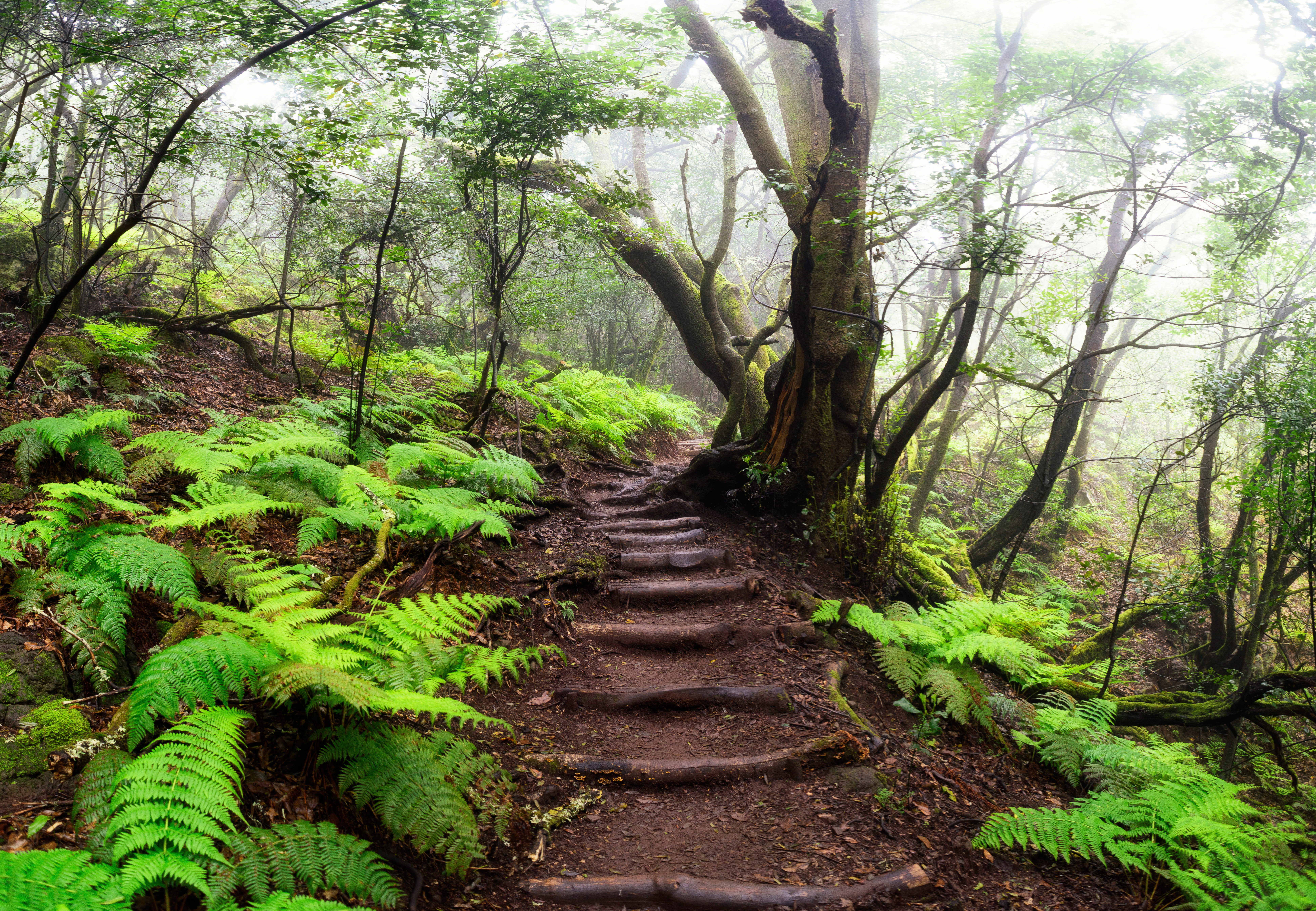 La Gomera