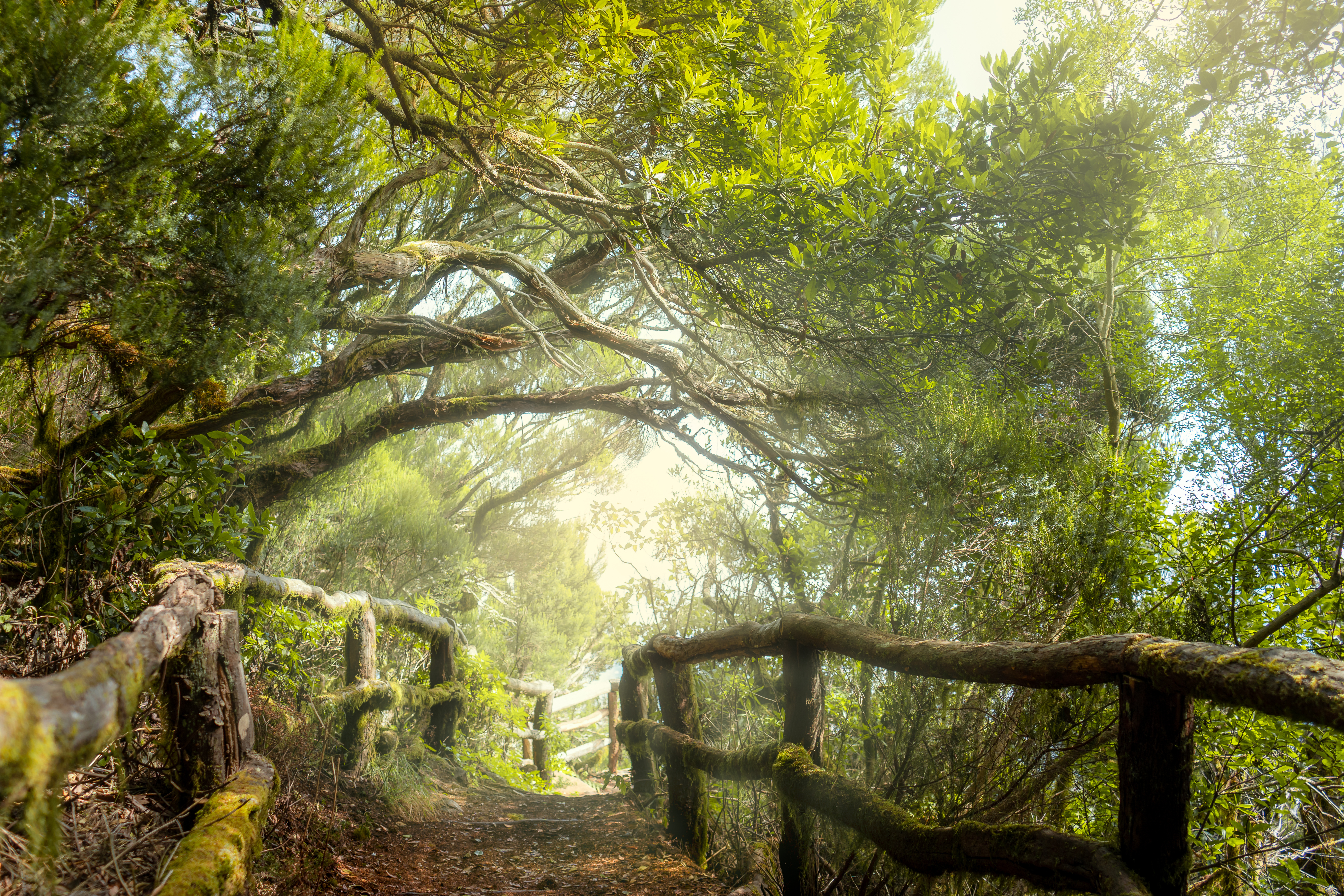Wetter La Gomera
