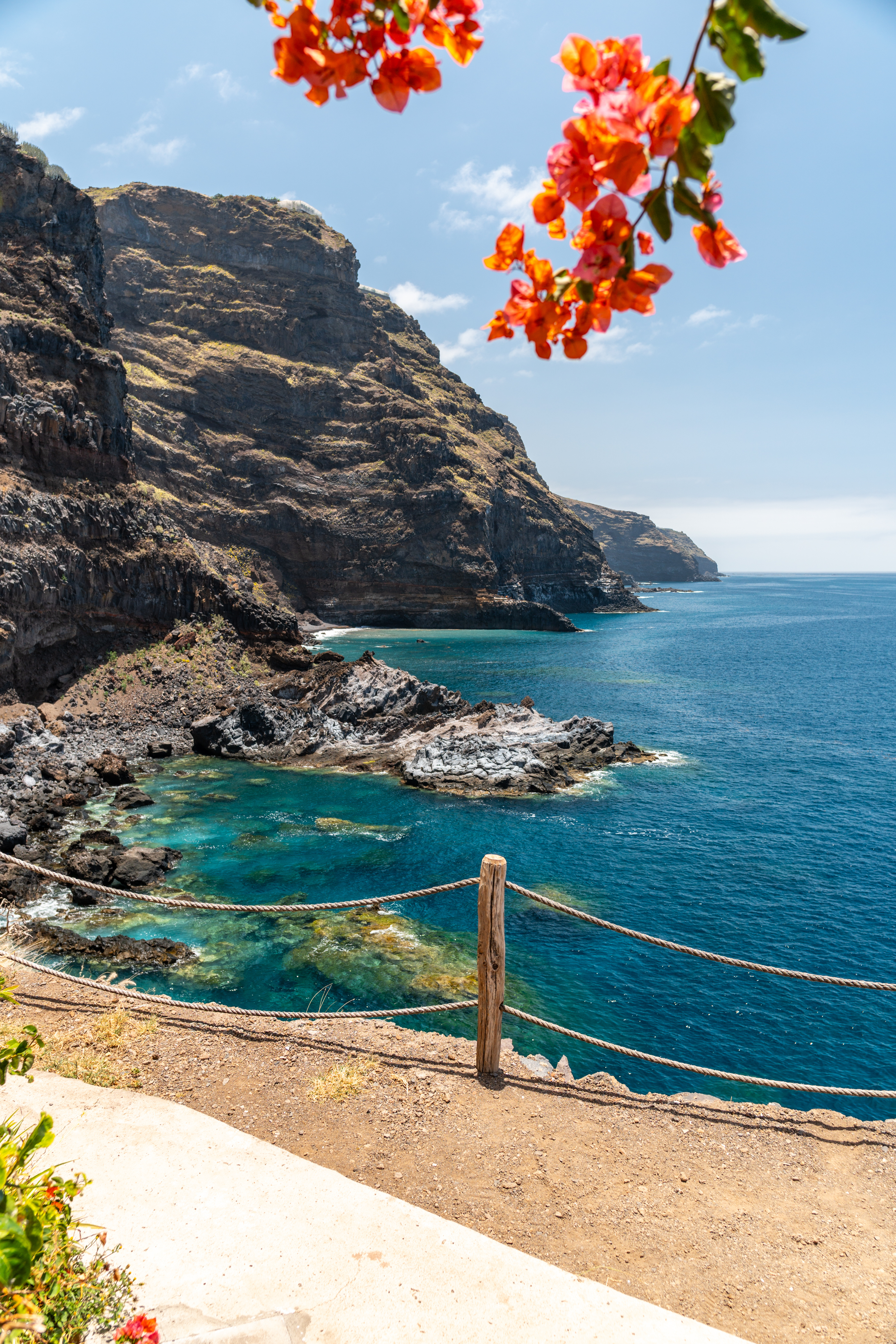 La Palma Küste Blumen Felsen Meer
