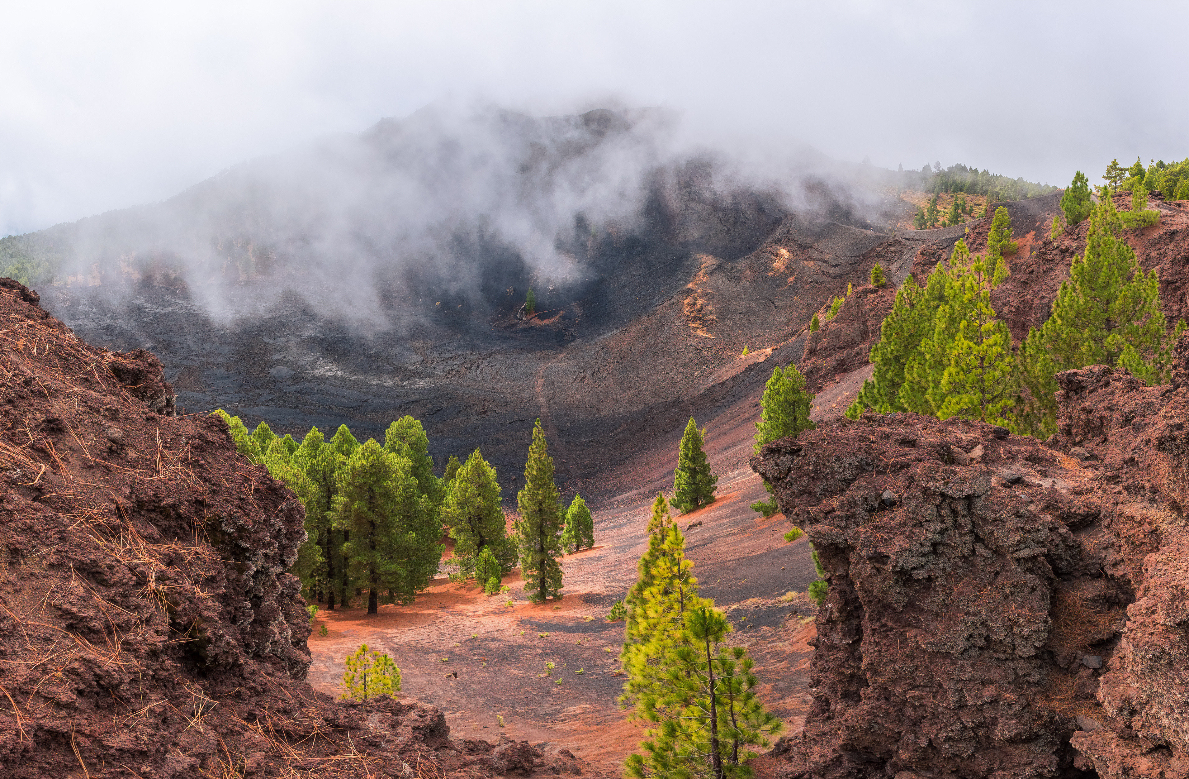 La Palma Vulkanlandschaft Kiefernwald Wanderung