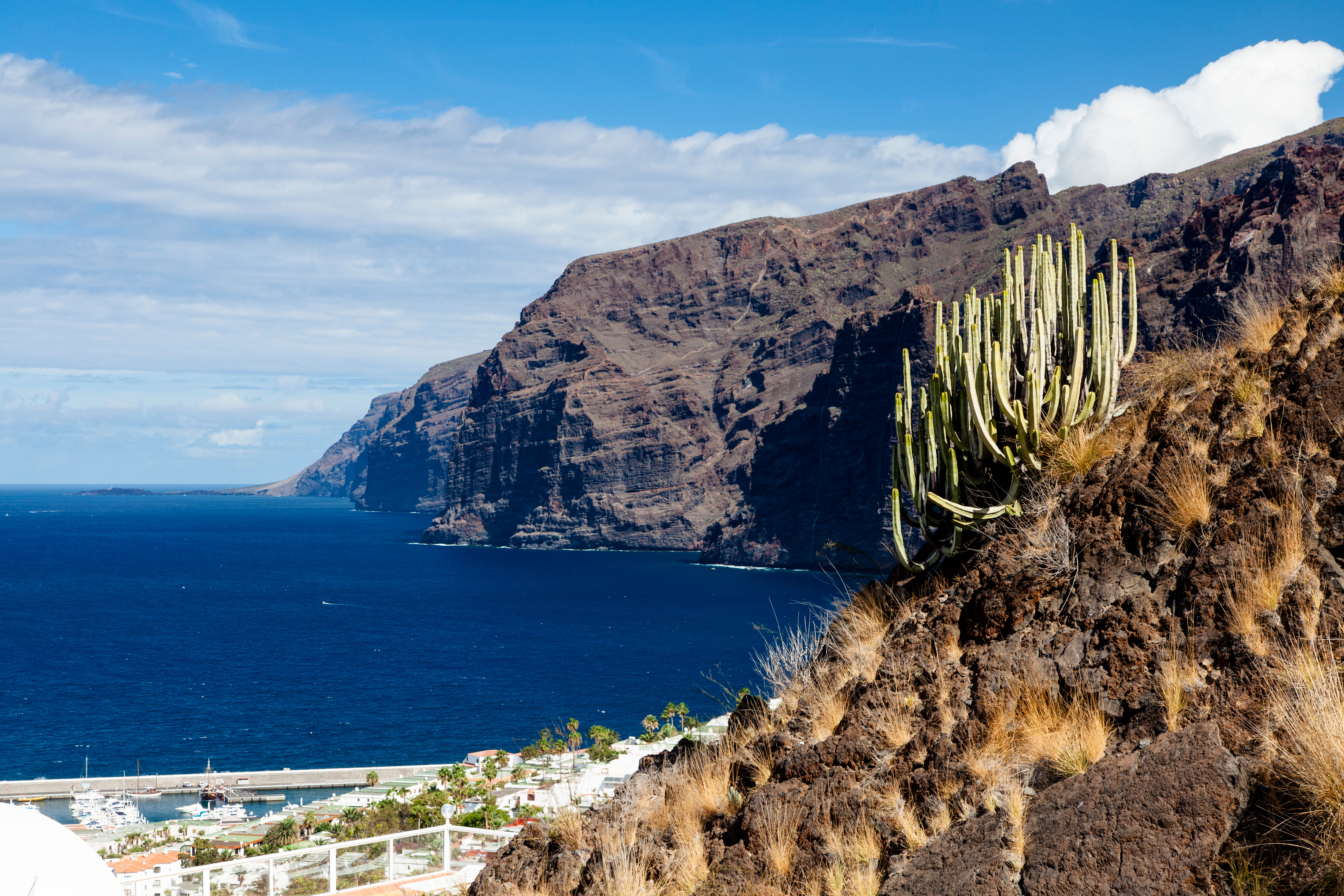 Anaga Lorbeerwald Bergpfad Teneriffa